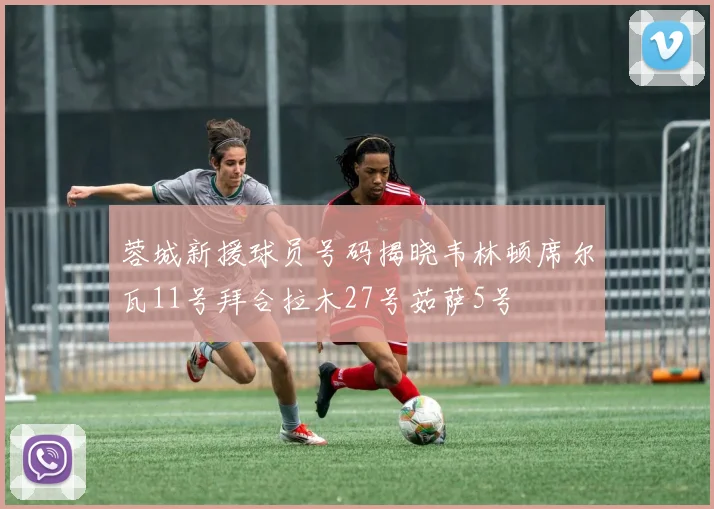 蓉城新援球员号码揭晓韦林顿席尔瓦11号拜合拉木27号茹萨5号