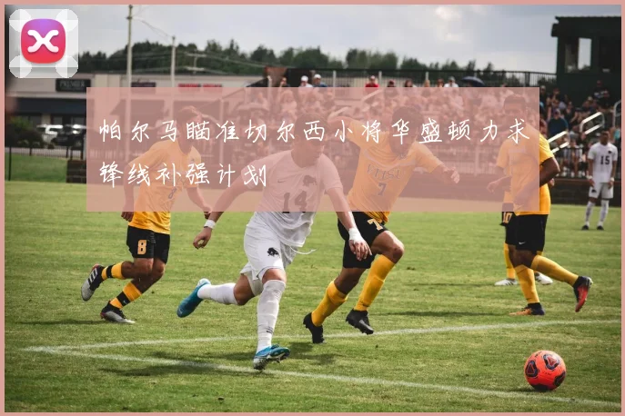 帕尔马瞄准切尔西小将华盛顿力求锋线补强计划